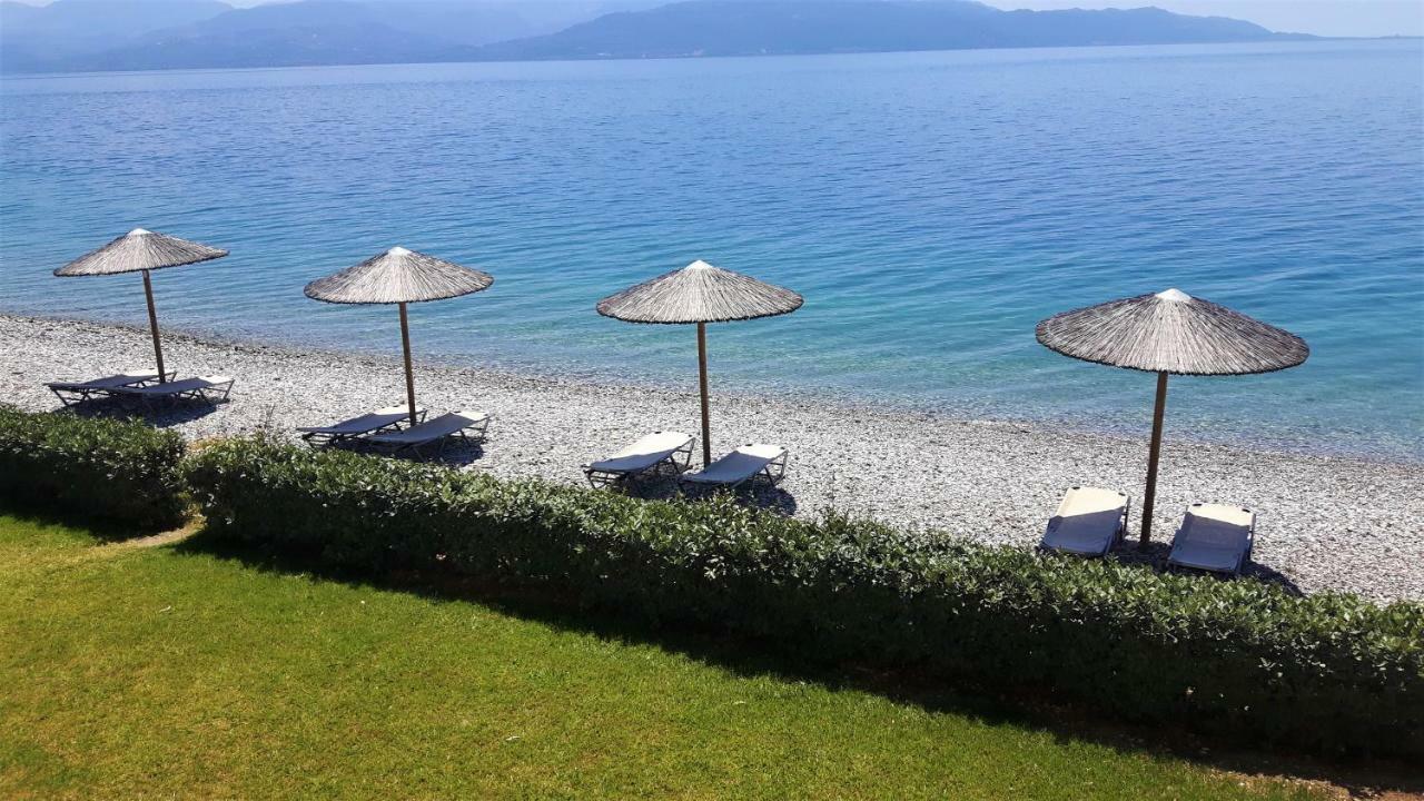 Villa Thalassa Paralia Sergoulas Exteriér fotografie