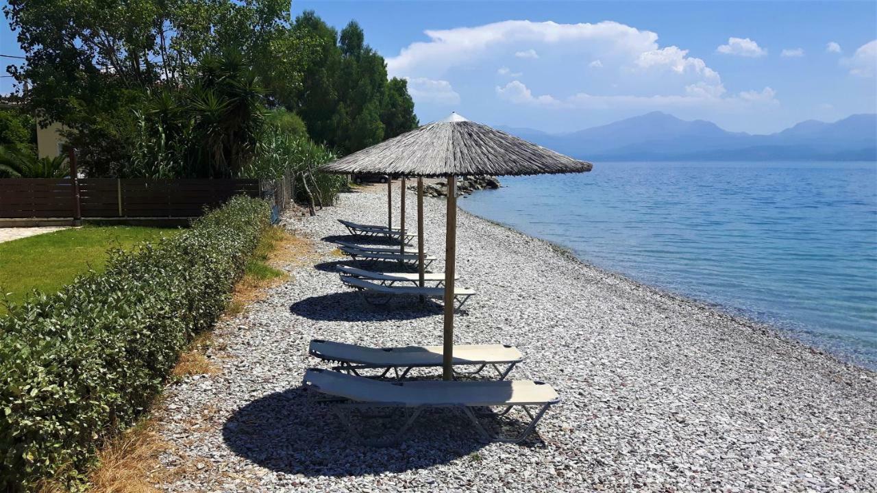 Villa Thalassa Paralia Sergoulas Exteriér fotografie